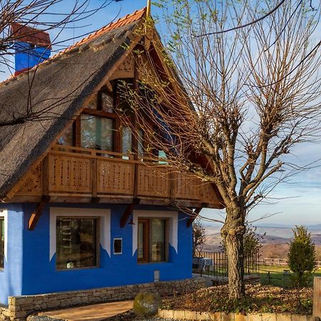 Casele Cu Stuf B&B Haus Ulrike Sălicea Extérieur photo