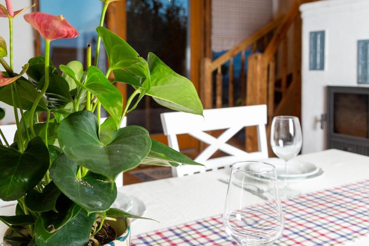 Casele Cu Stuf B&B Haus Ulrike Sălicea Extérieur photo