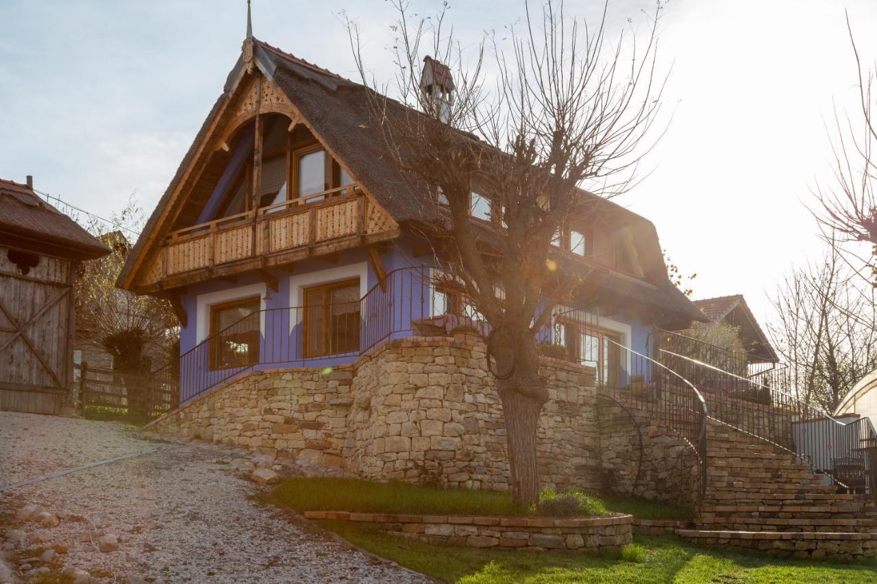 Casele Cu Stuf B&B Haus Ulrike Sălicea Extérieur photo