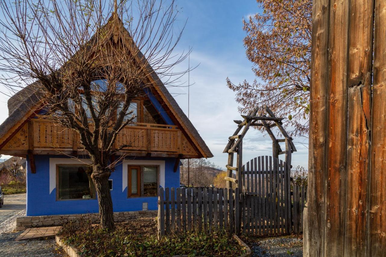 Casele Cu Stuf B&B Haus Ulrike Sălicea Extérieur photo