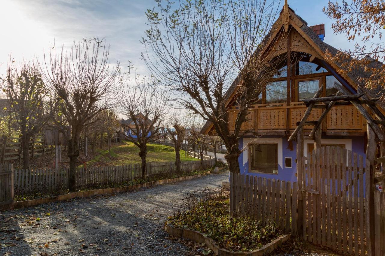 Casele Cu Stuf B&B Haus Ulrike Sălicea Extérieur photo