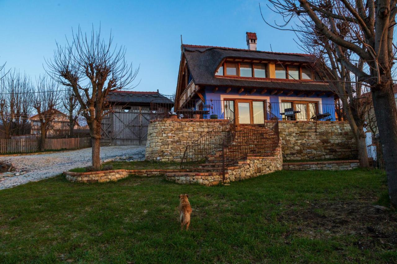 Casele Cu Stuf B&B Haus Ulrike Sălicea Extérieur photo