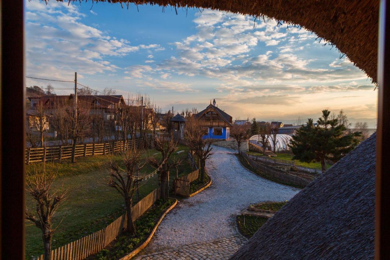 Casele Cu Stuf B&B Haus Ulrike Sălicea Extérieur photo