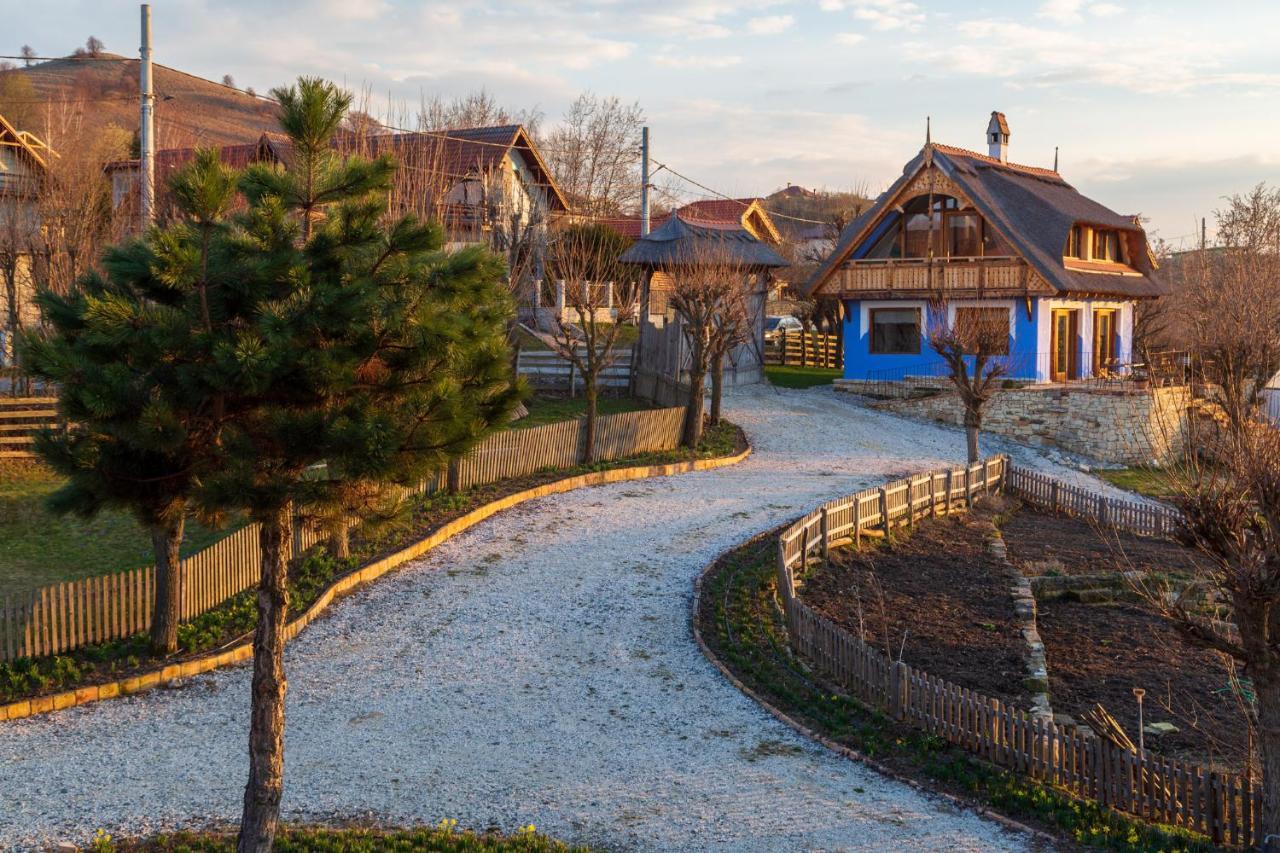 Casele Cu Stuf B&B Haus Ulrike Sălicea Extérieur photo