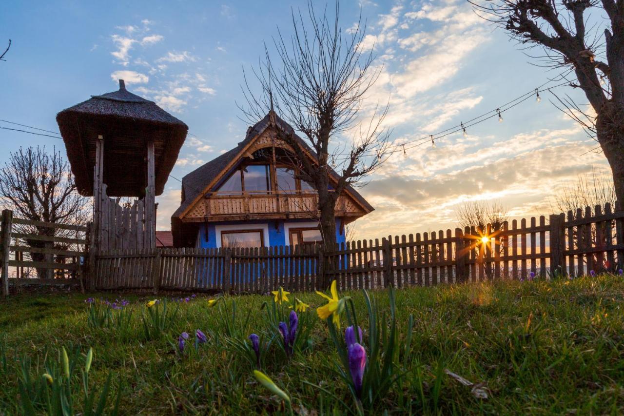 Casele Cu Stuf B&B Haus Ulrike Sălicea Extérieur photo