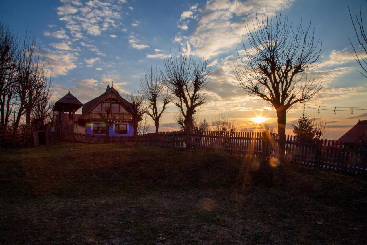 Casele Cu Stuf B&B Haus Ulrike Sălicea Extérieur photo