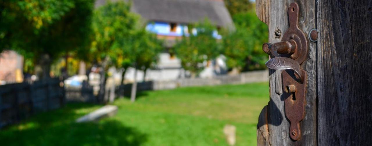 Casele Cu Stuf B&B Haus Ulrike Sălicea Extérieur photo
