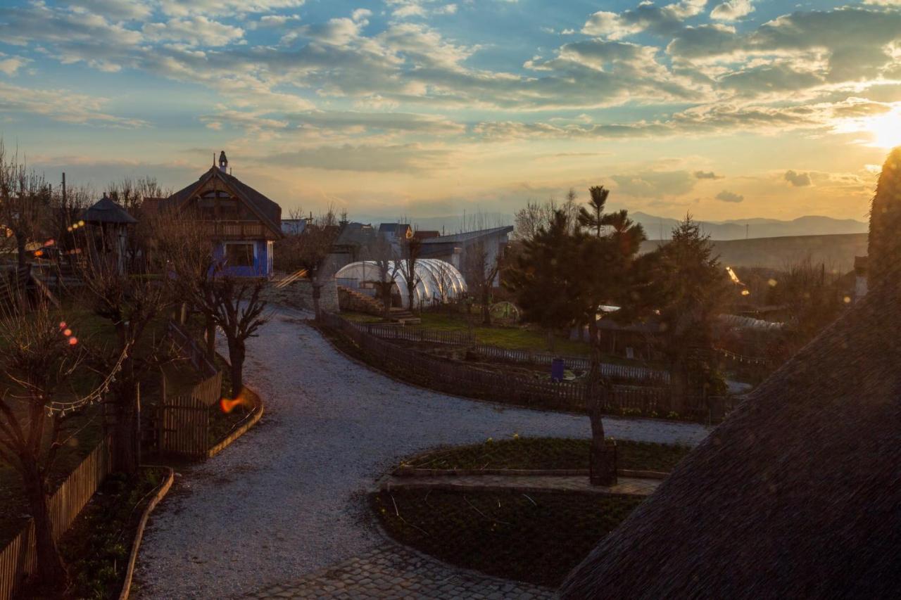 Casele Cu Stuf B&B Haus Ulrike Sălicea Extérieur photo