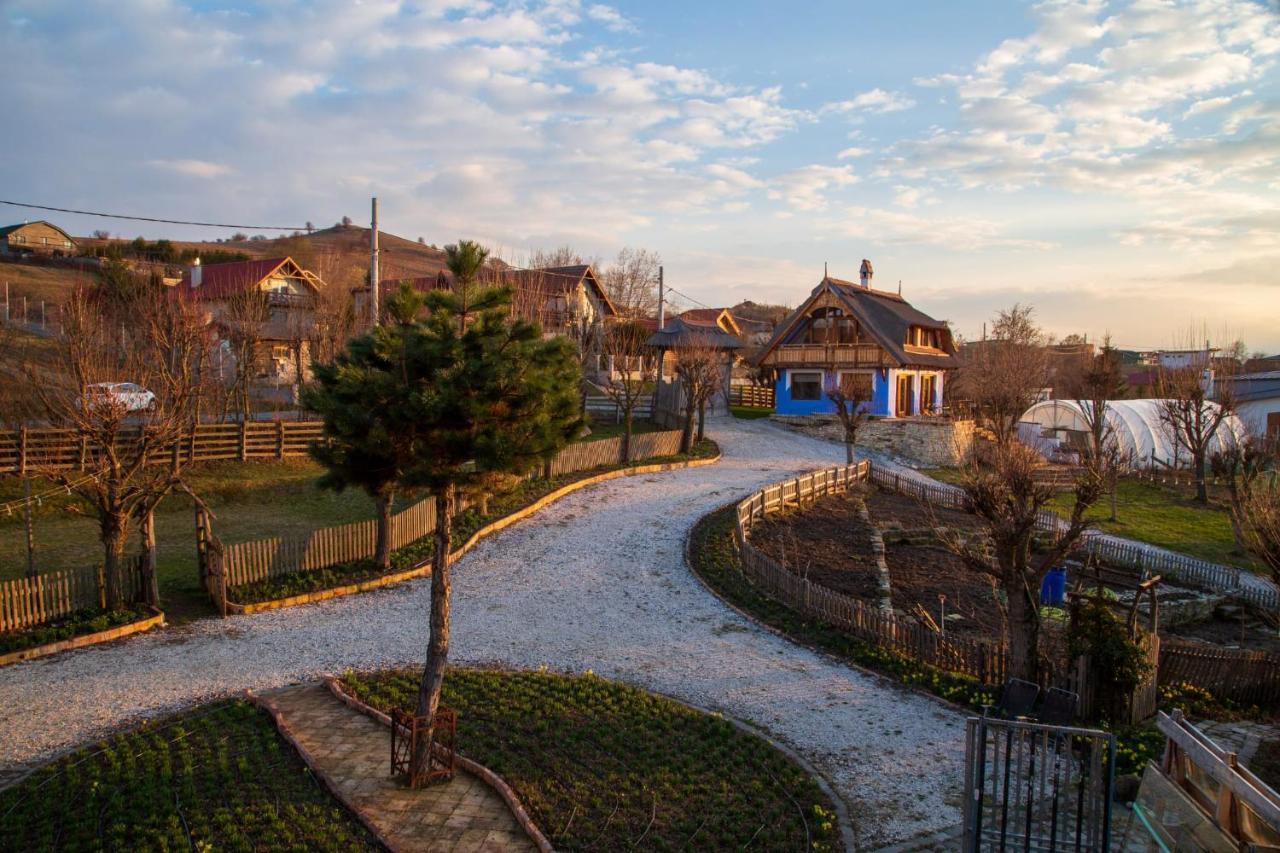 Casele Cu Stuf B&B Haus Ulrike Sălicea Extérieur photo