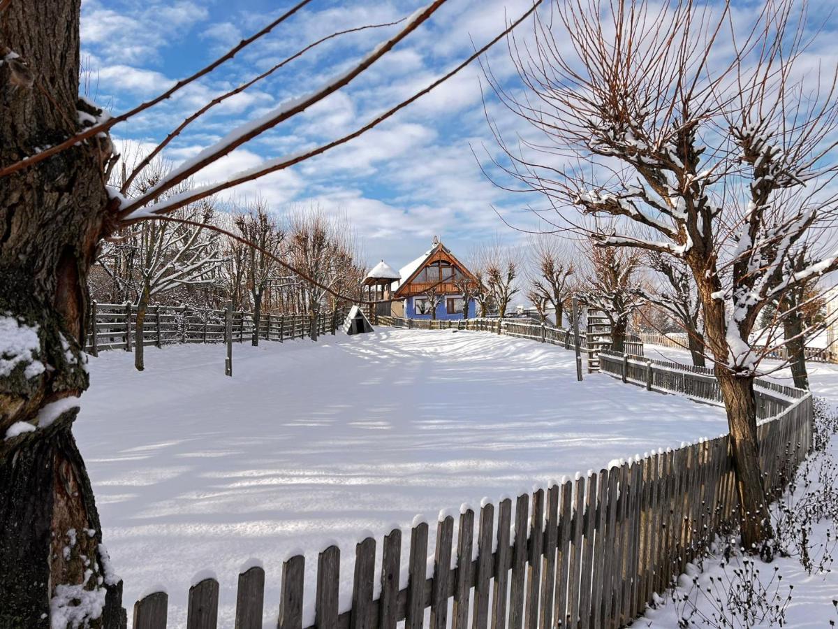 Casele Cu Stuf B&B Haus Ulrike Sălicea Extérieur photo