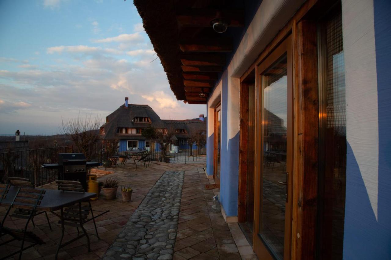 Casele Cu Stuf B&B Haus Ulrike Sălicea Extérieur photo