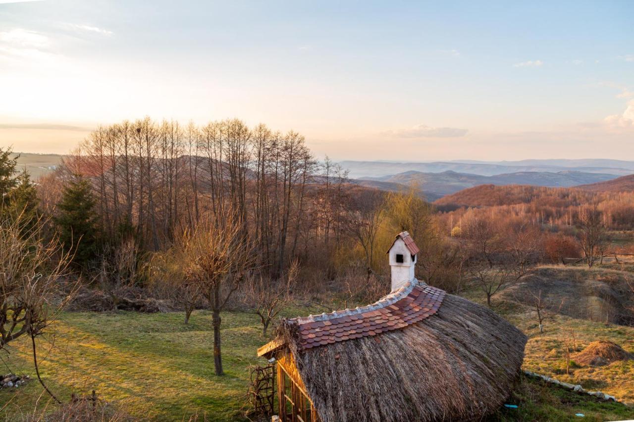 Casele Cu Stuf B&B Haus Ulrike Sălicea Extérieur photo