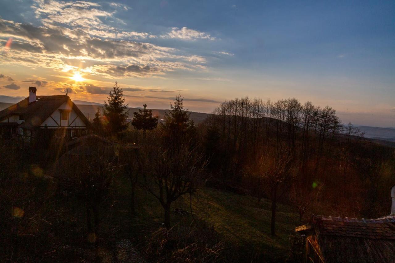 Casele Cu Stuf B&B Haus Ulrike Sălicea Extérieur photo