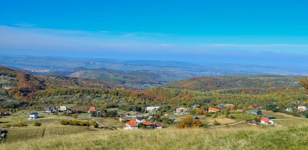 Casele Cu Stuf B&B Haus Ulrike Sălicea Extérieur photo