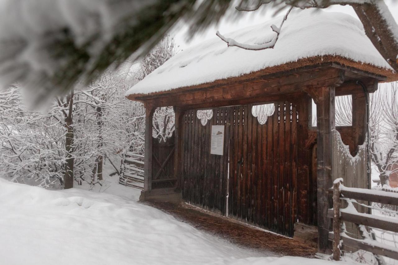 Casele Cu Stuf B&B Haus Ulrike Sălicea Extérieur photo