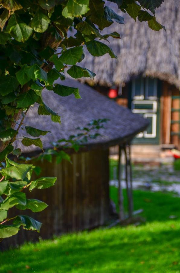 Casele Cu Stuf B&B Haus Ulrike Sălicea Extérieur photo