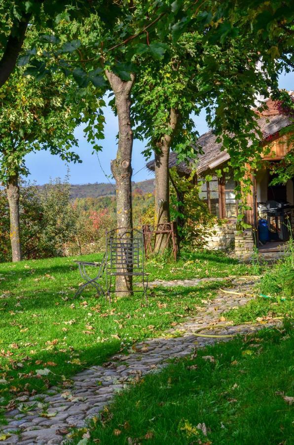 Casele Cu Stuf B&B Haus Ulrike Sălicea Extérieur photo