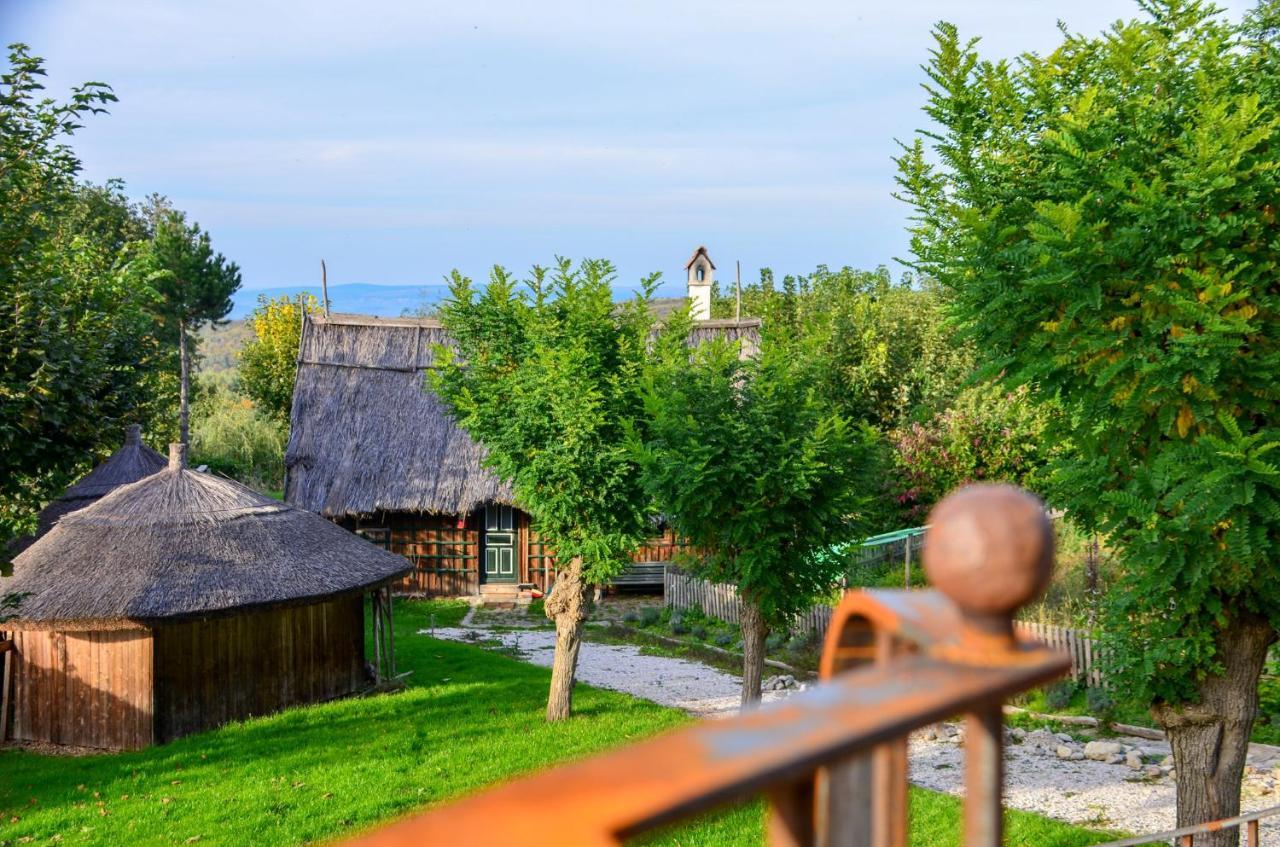 Casele Cu Stuf B&B Haus Ulrike Sălicea Extérieur photo