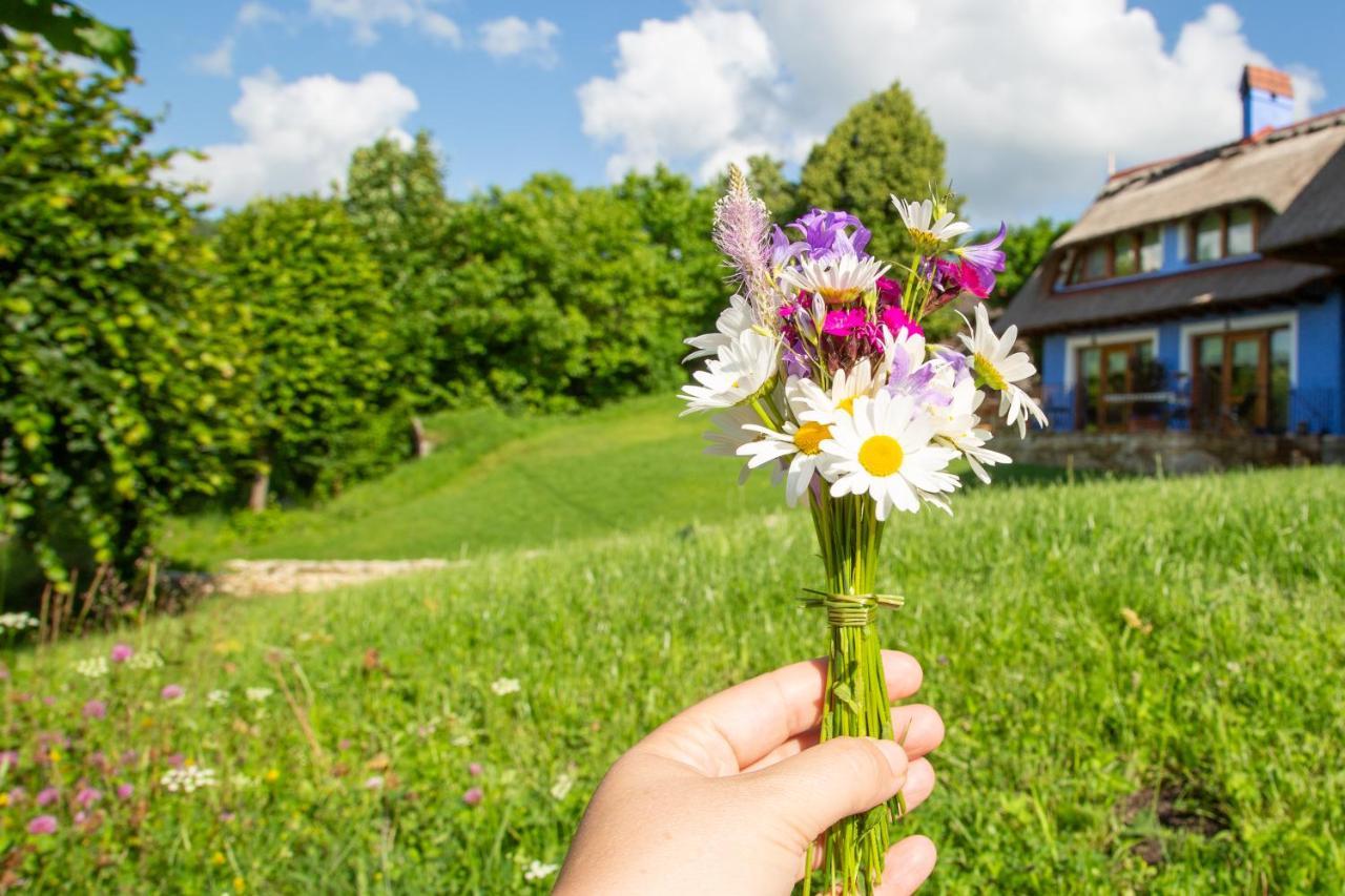 Casele Cu Stuf B&B Haus Ulrike Sălicea Extérieur photo