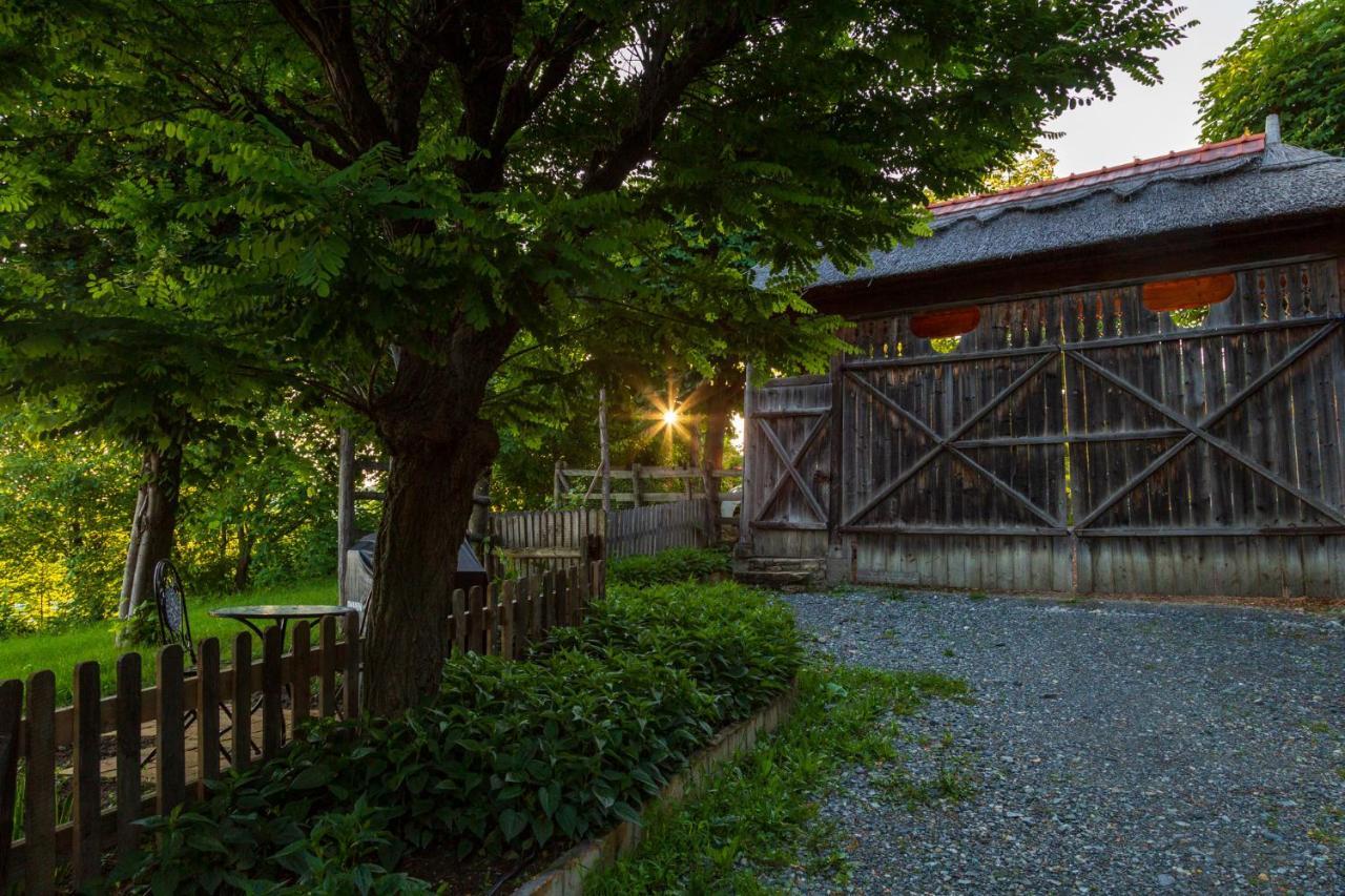 Casele Cu Stuf B&B Haus Ulrike Sălicea Extérieur photo