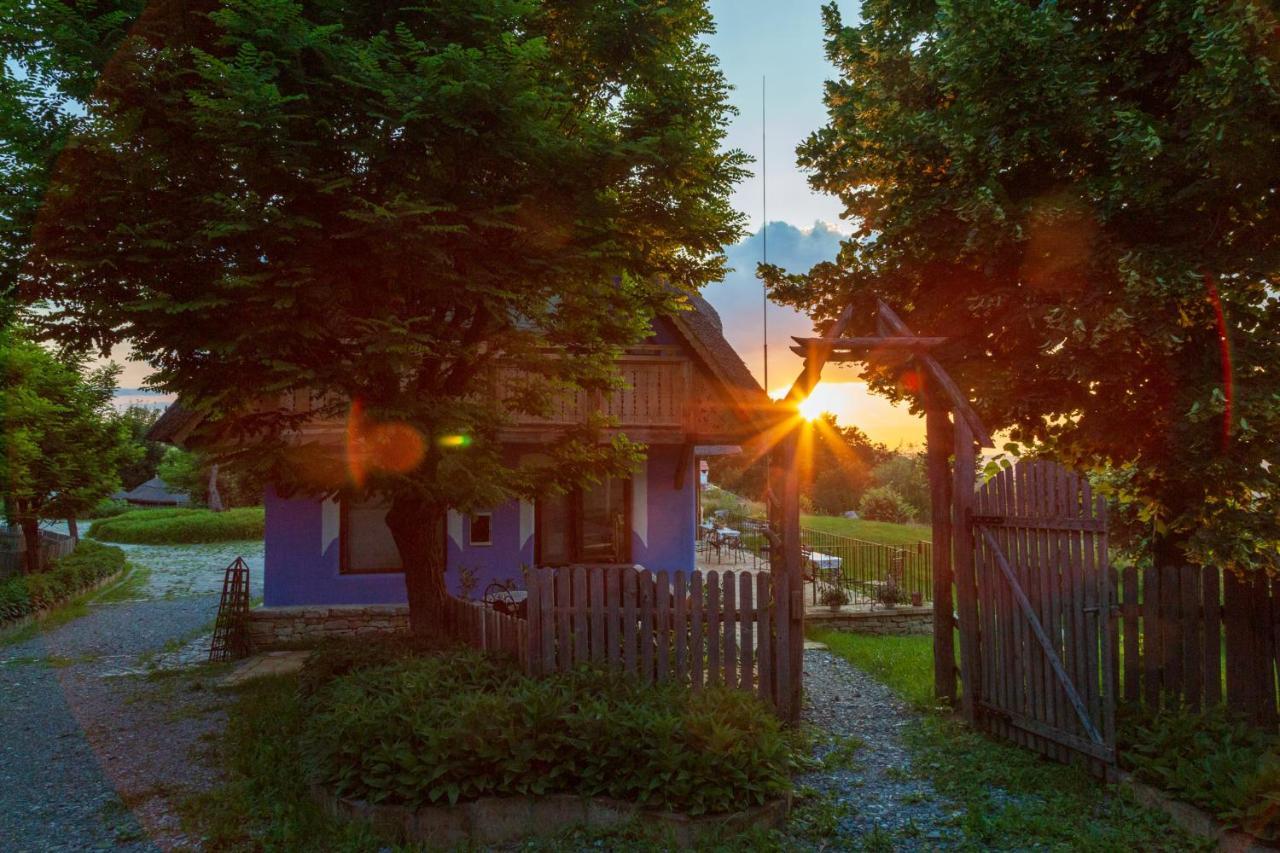 Casele Cu Stuf B&B Haus Ulrike Sălicea Extérieur photo